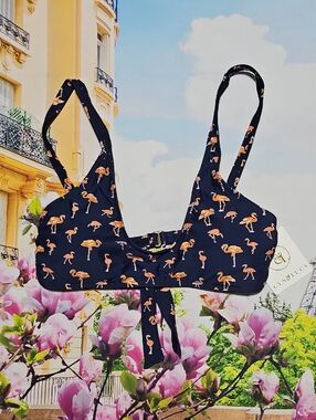 Cyn & Luca Flamingo Blue And Orange Bikini Bra Size XL‎ New